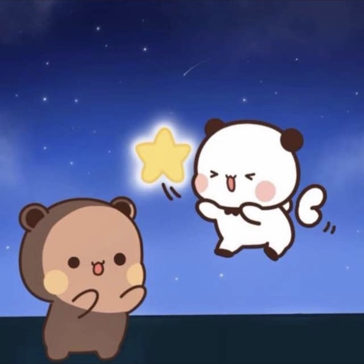 Our shared WhatsApp picture: two bears under a star